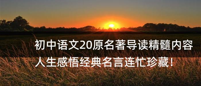 初中语文20原名著导读精髓内容人生感悟经典名言连忙珍藏！