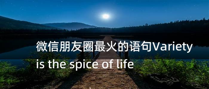 微信朋友圈最火的语句Variety is the spice of life