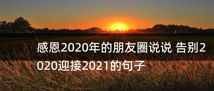 感恩2020年的朋友圈说说 告别2020迎接2021的句子