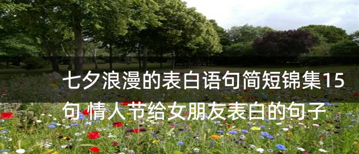 七夕浪漫的表白语句简短锦集15句 情人节给女朋友表白的句子